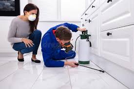 Best Residential Pest Control  in Whitmore Lake, MI